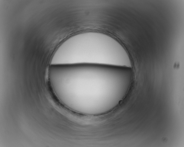 X0000112780028200908201424