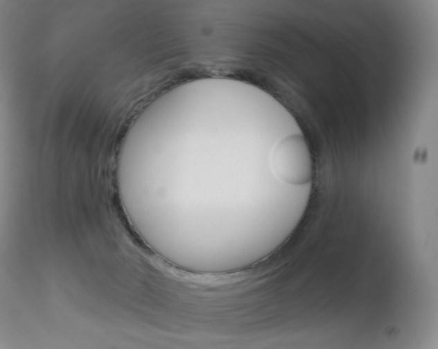 X0000112780030200908201424