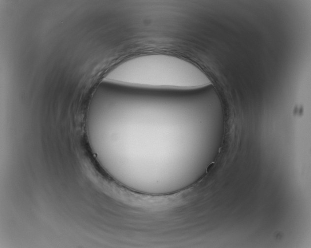 X0000112780031200908201424