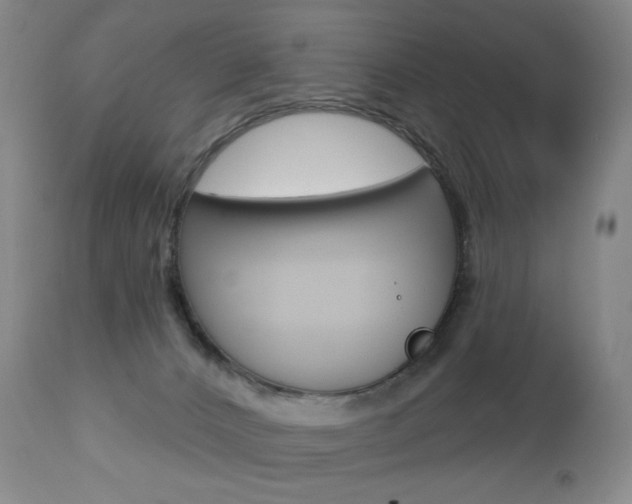 X0000112780032200908201424