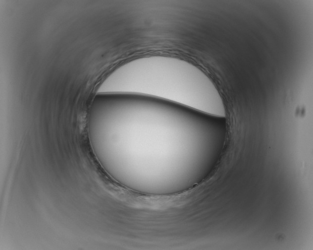 X0000112780033200908201424