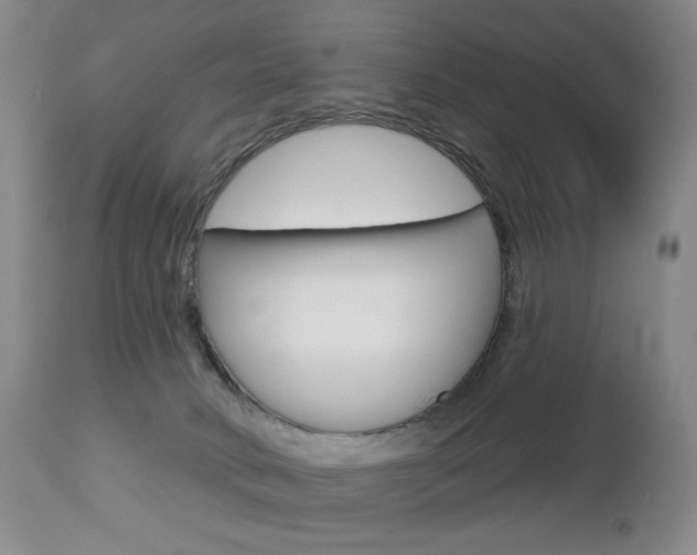 X0000112780034200908201424