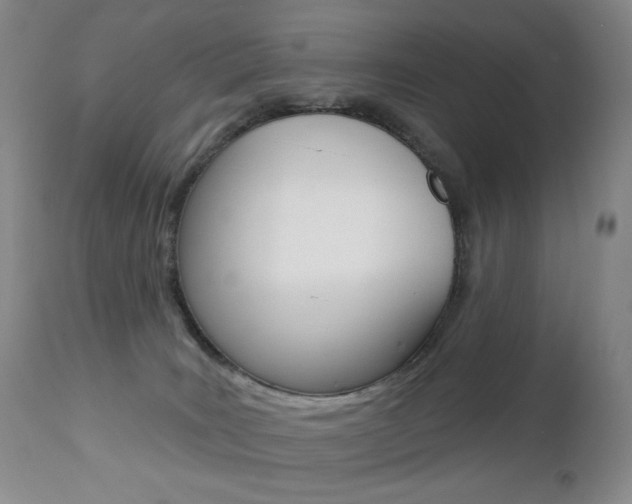 X0000112780035200908201424