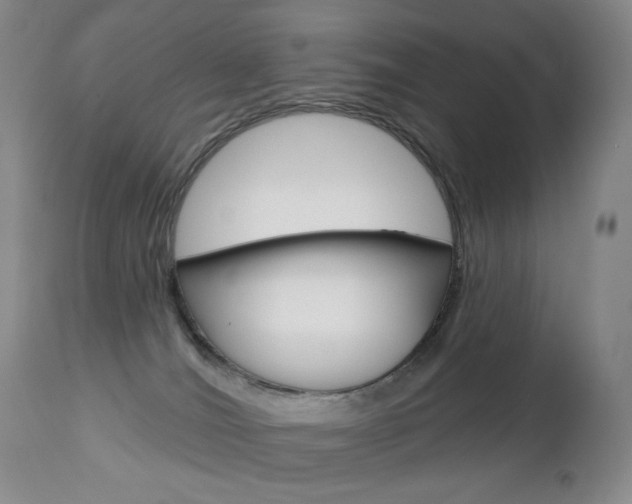 X0000112780036200908201424
