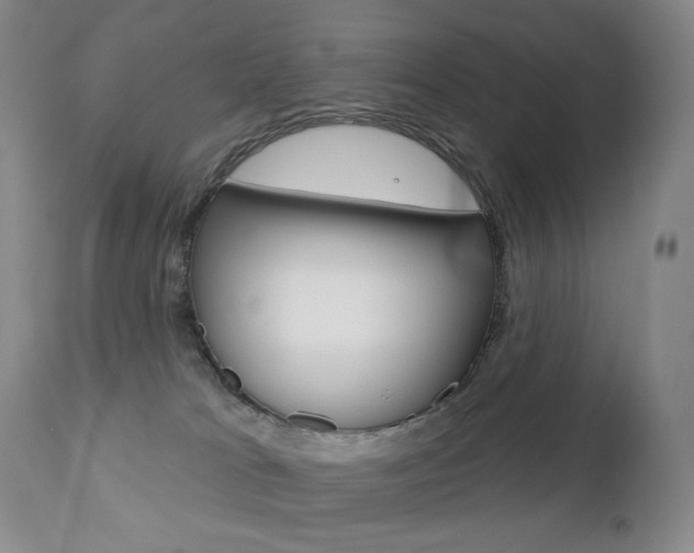 X0000112780037200908201424