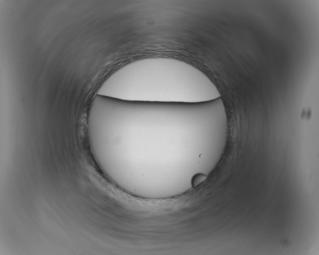 X0000112780038200908201424