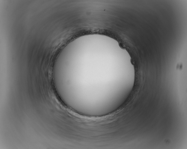 X0000112780039200908201424