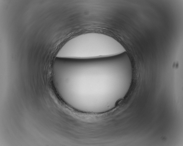 X0000112780040200908201424