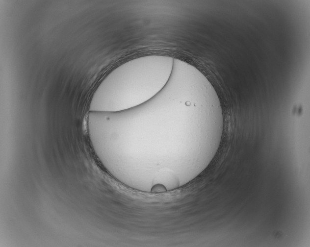 X0000112780042200908201424