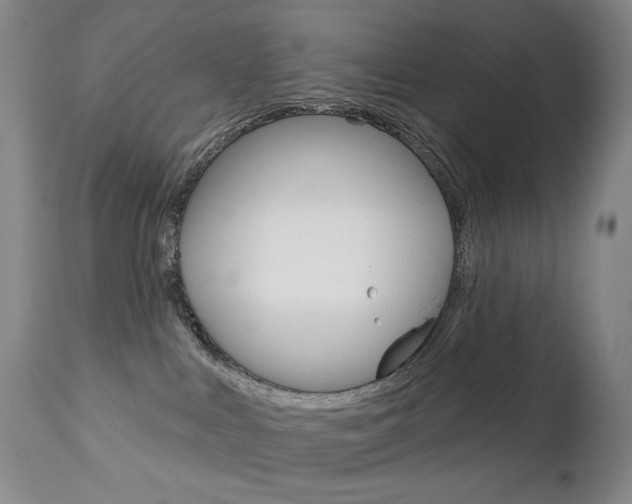 X0000112780043200908201424