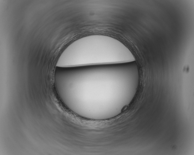 X0000112780044200908201424