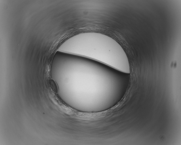 X0000112780045200908201424