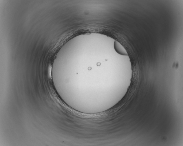 X0000112780046200908201424