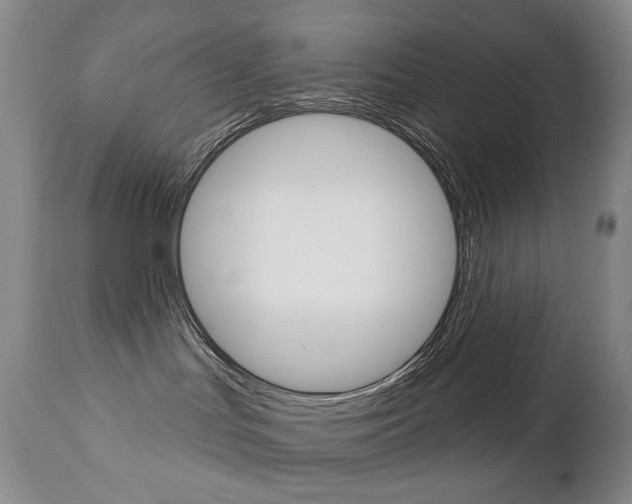 X0000112780047200908201424