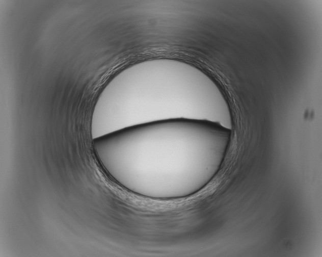 X0000112780048200908201424