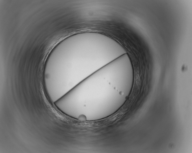 X0000112780049200908201423