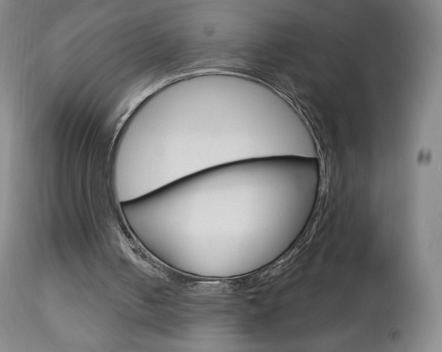 X0000112780050200908201423