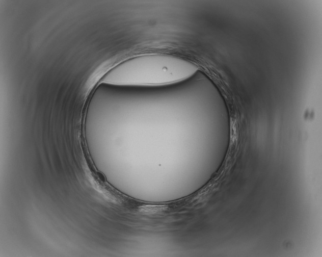 X0000112780051200908201423