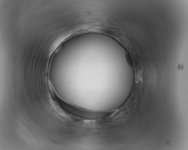 X0000112780052200908201423