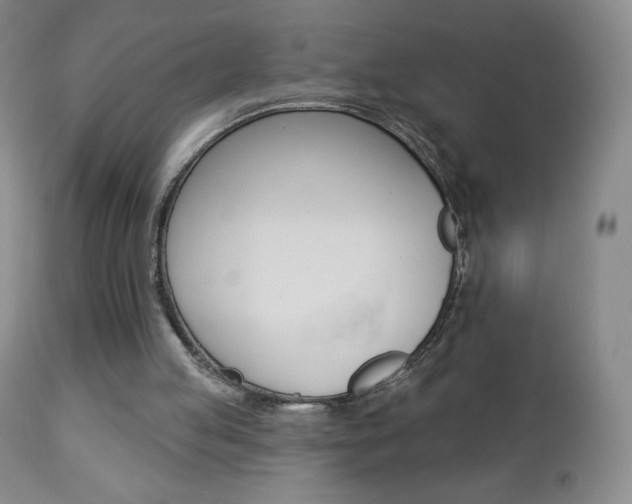 X0000112780053200908201423