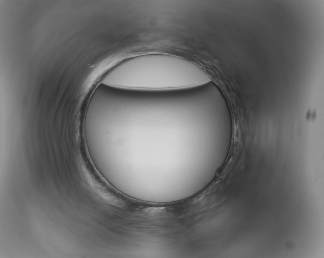 X0000112780054200908201423