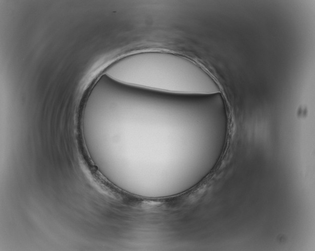 X0000112780055200908201423