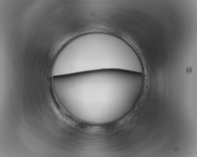 X0000112780058200908201423