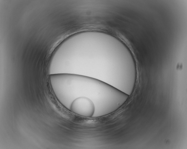 X0000112780059200908201423
