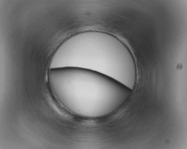 X0000112780061200908201423