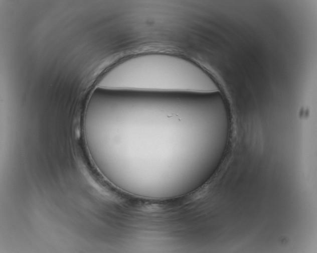 X0000112780062200908201423