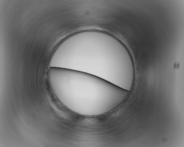 X0000112780063200908201423