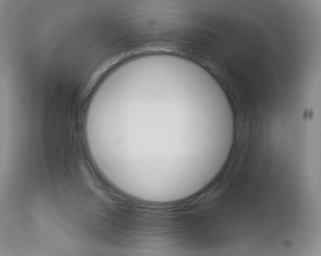 X0000112780064200908201423