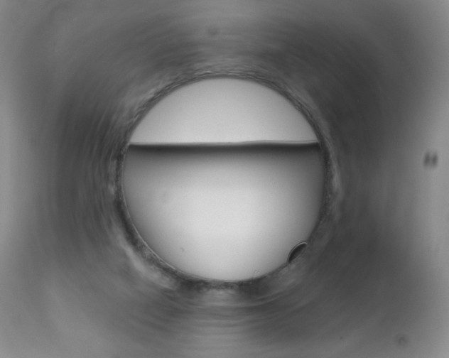 X0000112780066200908201423