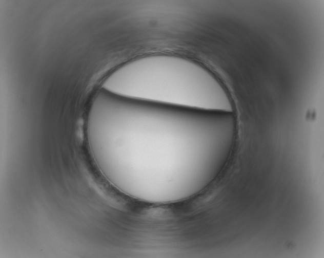 X0000112780067200908201423