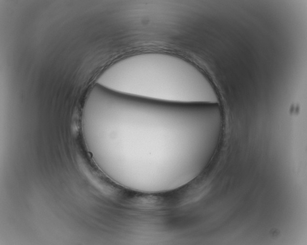 X0000112780069200908201423