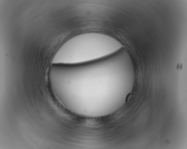 X0000112780070200908201424