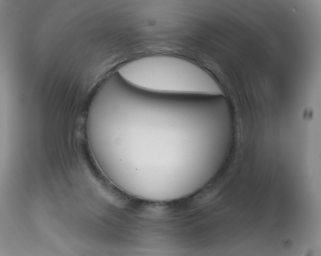 X0000112780071200908201424
