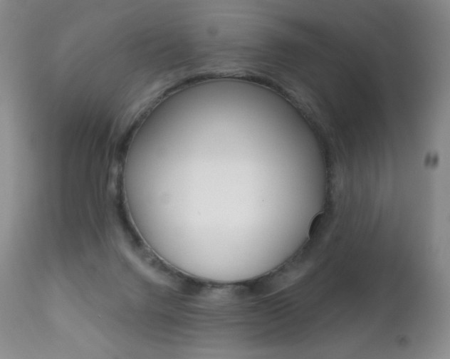 X0000112780072200908201424