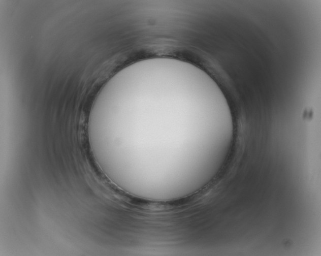 X0000112780073200908201424