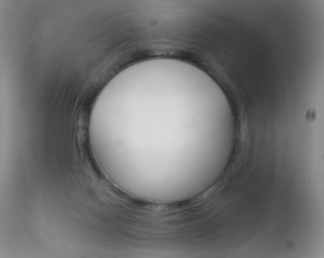 X0000112780074200908201424