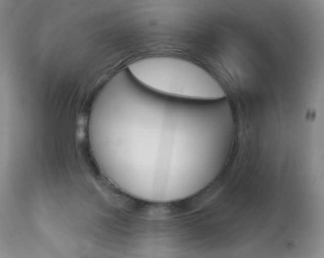 X0000112780075200908201424