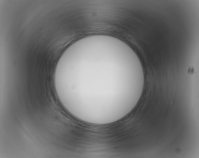 X0000112780076200908201424