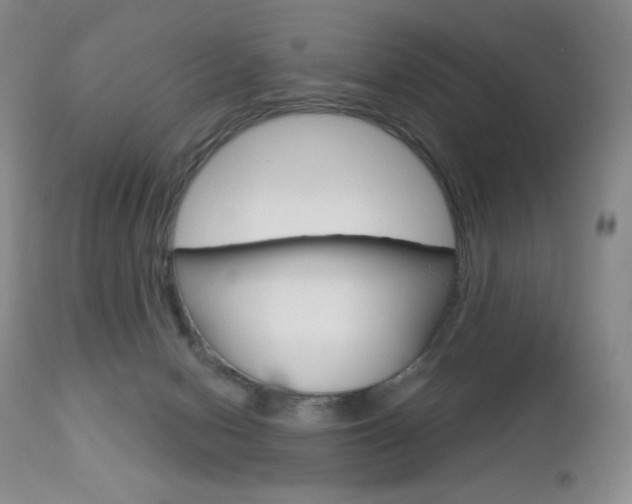 X0000112780078200908201424