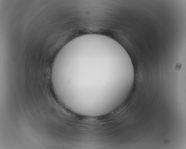 X0000112780079200908201424