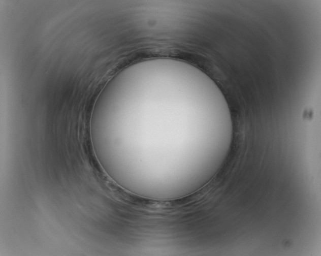 X0000112780080200908201424