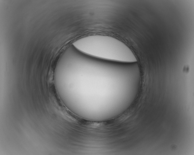 X0000112780081200908201424
