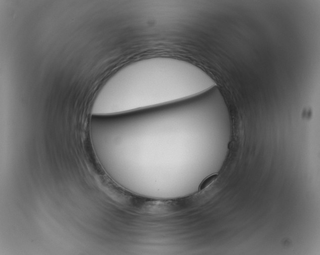 X0000112780082200908201424