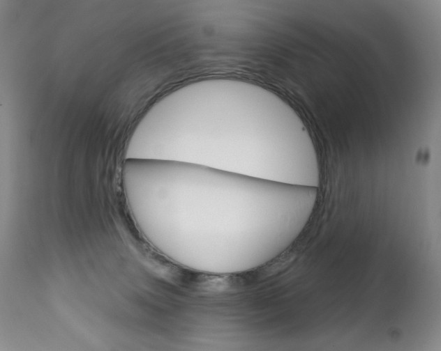 X0000112780083200908201424
