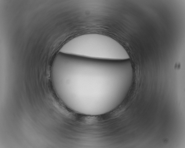 X0000112780085200908201424