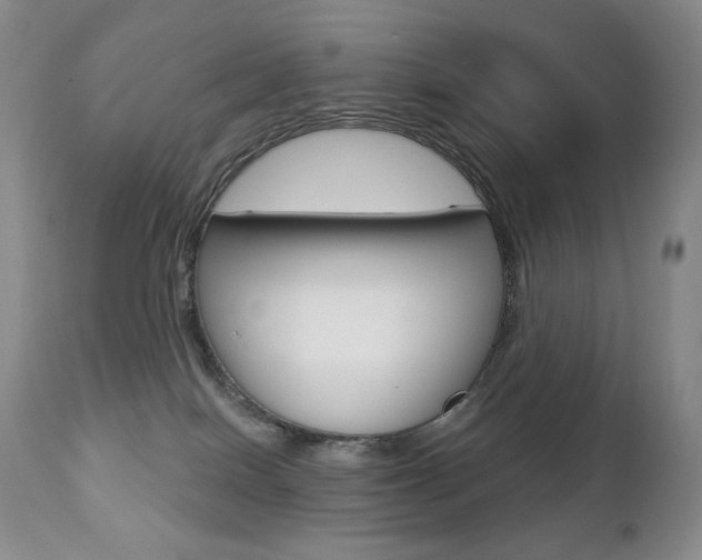 X0000112780086200908201424